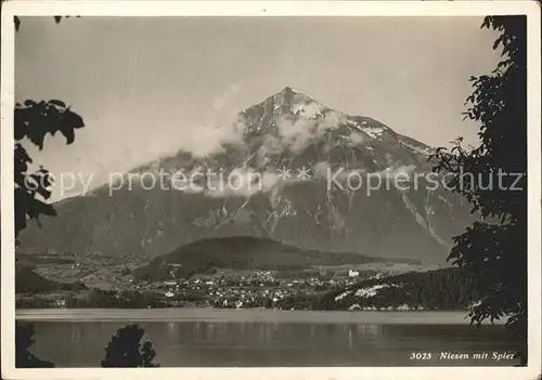 Niesen Kulm mit Spiez Kat. Niesen Kulm