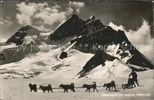 Jungfraujoch mit Jungfrau und Polarhunden Kat. Jungfrau