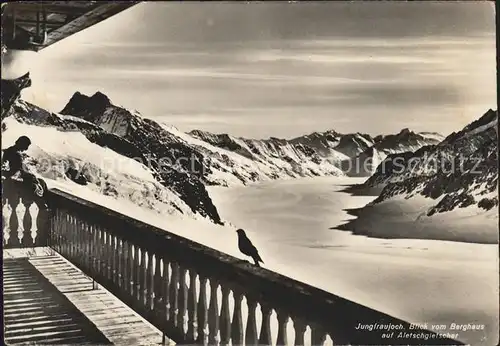 Jungfraujoch Berghausblick zum Aletschgletscher Kat. Jungfrau