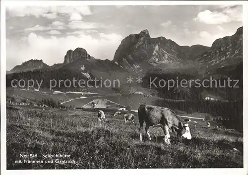 Selibuehl Huette mit Nunenen und Gantrisch Kat. Rueti Riggisberg