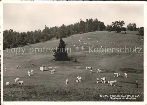 Boezingenberg Kurhaus Viehherde Kat. Boezingenberg