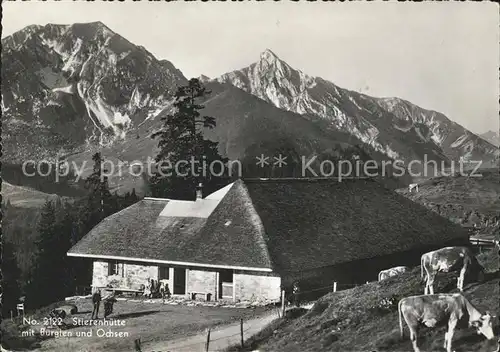 Stierenhuette mit Buerglen und Ochsen Kat. Rueeggisberg