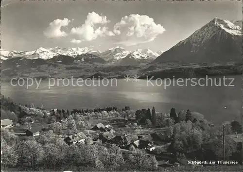 Oberhofen AG Schoenoertli am Thunersee Bluemlisalp Niesen Kat. Oberhofen AG