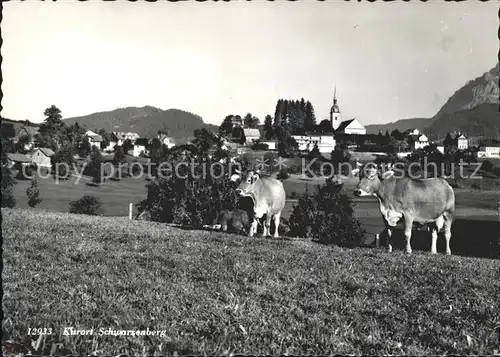 Schwarzenberg Brienz Kuehe Kat. Schwarzenberg