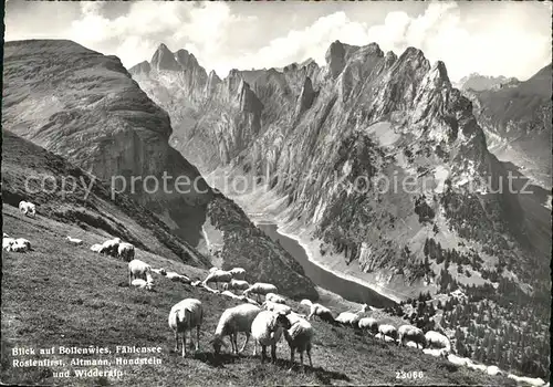 Faehlensee mit Bollenwies Roslenfirst Altmann Hundstein Widderalp Kat. Altmann