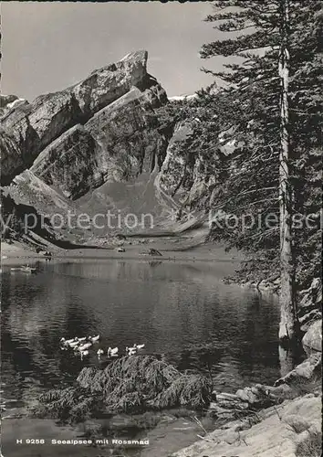 Seealpsee mit Rossmad Kat. Schwende