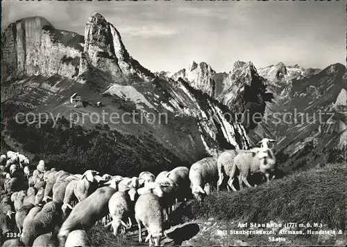 Staubern mit Staubernkanzel Altmann Hundstein und Saentis Schafherde Kat. Hoher Kasten