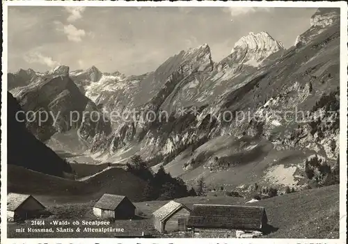 Seealpsee Wald Rossmad Saentis Altenalptuerme Kat. Schwende