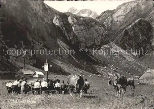 Seealpsee Kuehe Kat. Schwende