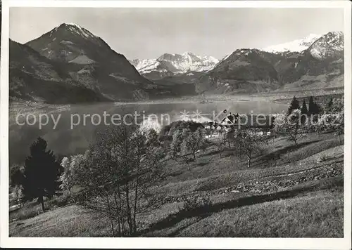 Sarnen Kuranstalt Friedenfels Sarnersee Kat. Sarnen