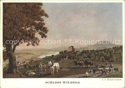 Wildegg Schloss Wildegg Bauern mit Pferden bei der Feldarbeit Kuenstlerkarte Kat. Wildegg