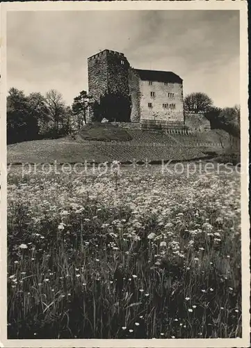 Schinznach Bad Schloss Habsburg Kat. Schinznach Bad