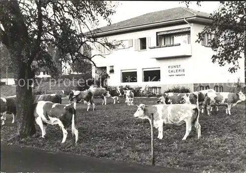 Meisterschwanden Kunstgalerie Mario Manazza Kuhherde Kat. Meisterschwanden