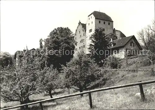 Wildegg Bergfried Palas Kat. Wildegg