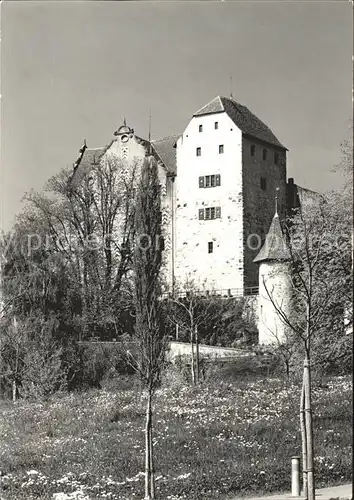 Wildegg Bergfried Palas Kat. Wildegg