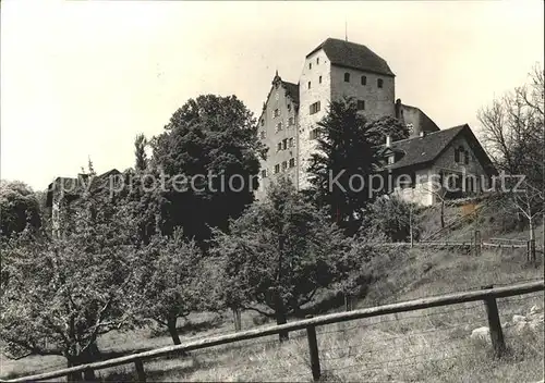 Wildegg Schloss Bergfried Palas Kat. Wildegg