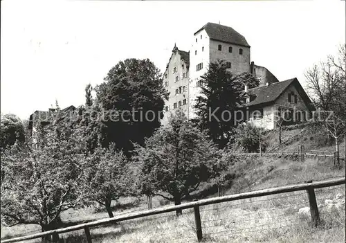Wildegg Schloss Bergfried Palas Kat. Wildegg