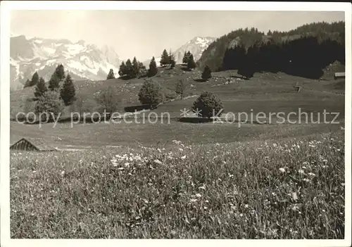 Heiden AR  / Heiden /Bz. Vorderland