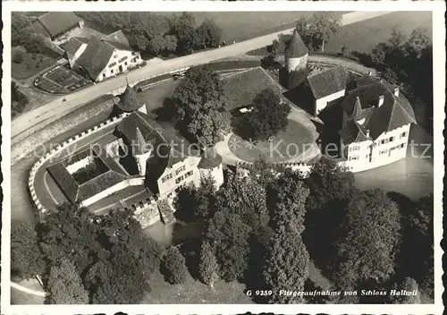 Hallwil Fliegeraufnahme Schloss Kat. Hallwil