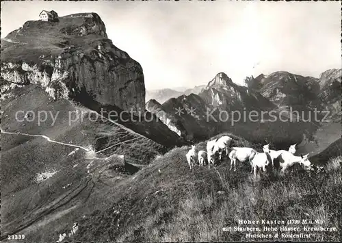 Hoher Kasten mit Staubern Krezberge Mutschen Ziegen