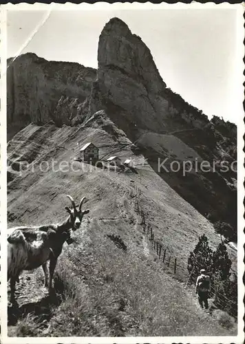 Alpstein Gasthaus Staubern Steinbock Kat. Alpstein