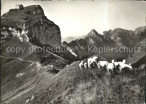 Hoher Kasten mit Stauberg Hohe Haeuser Zigen