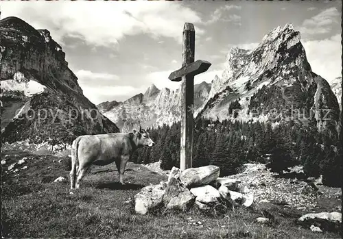 Altmann Saentis Furgglenalp Kuh Kreuz Hundstein Widderalpstock Kat. Altmann