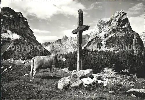 Altmann Saentis Furgglenalp Kuh Kreuz Hundstein Widderalpstock Kat. Altmann