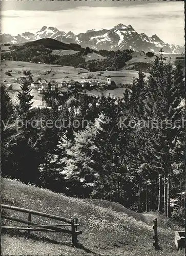 Wald AR Vorderland mit Altmann und Saentis Kat. Wald