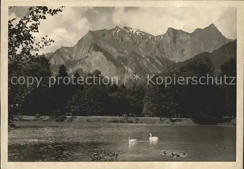 Bad Ragaz Rheinparksee mit Falknis Schwaene Kat. Bad Ragaz