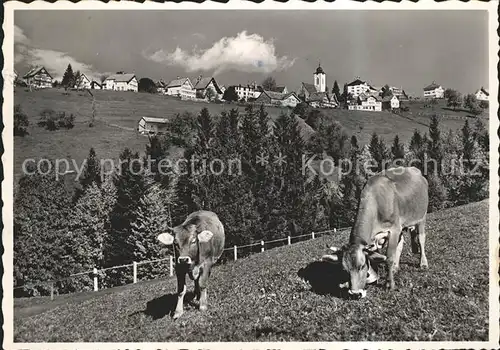 Wald AR Vorderland Kuehe Kat. Wald