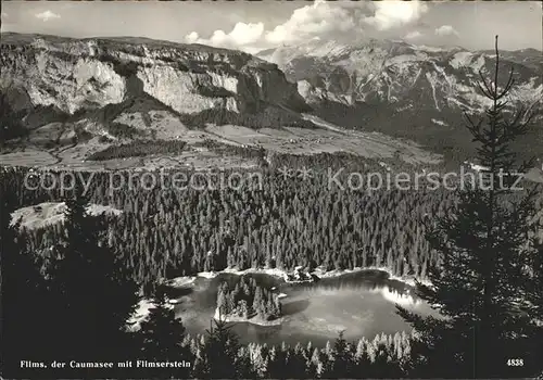 Flims Dorf Caumasee mit Flimserstein Kat. Flims Dorf