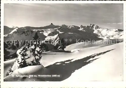 Tannenbodenalp Spitzmeilen  Kat. Tannenbodenalp