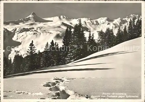 Tannenbodenalp Flums Grossberg Spitzmeilen Kat. Tannenbodenalp