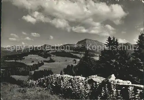 Tanzboden SG Speer Regulastein Kat. Tanzboden