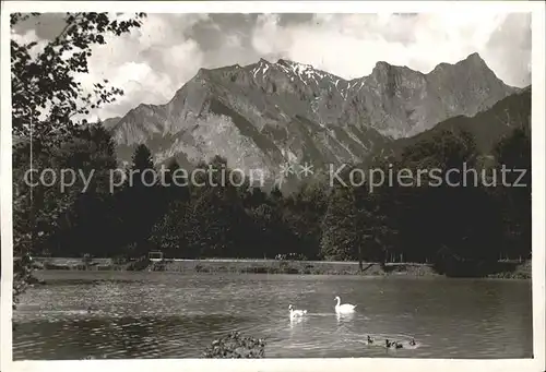 Bad Ragaz Rheinparksee mit Falknis Kat. Bad Ragaz