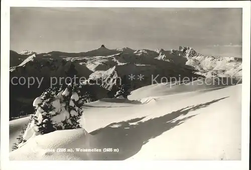 Spitzmeilen Weissmeilen Kat. Spitzmeilen