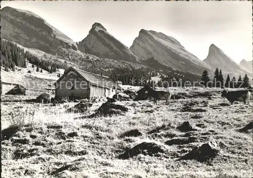 Churfirsten Alp Sellamatt Kat. St Gallen