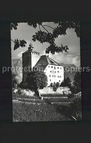 Werdenberg Schloss Residenz Grafen von Werdenberg Kat. Werdenberg