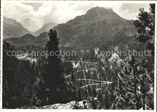 Maloja GR Strasse gegen Piz Salecina und Pizzo dei Rossi Engadin / Maloja Graubuenden /Bz. Maloja