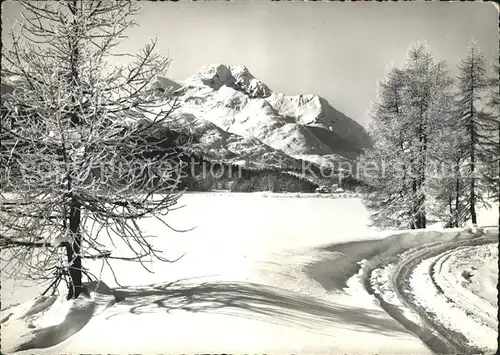 Maloja GR Am Wege nach Maloja Winterimpressionen Engadin / Maloja Graubuenden /Bz. Maloja