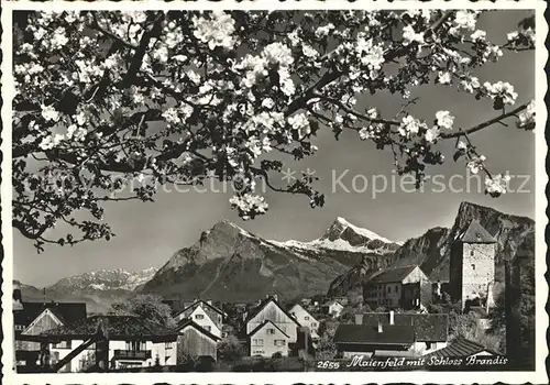 Maienfeld Ortsansicht mit Schloss Brandis Alpenblick Baumbluete Kat. Maienfeld