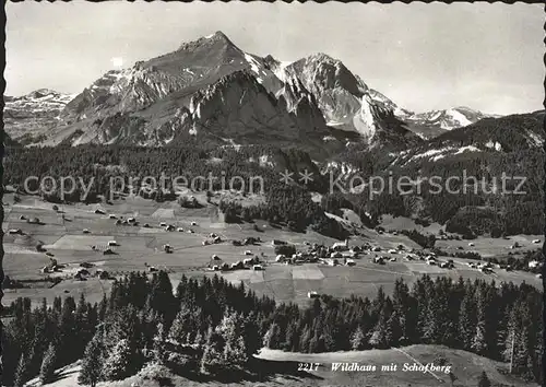 Wildhaus SG Gesamtansicht mit Schafberg Appenzeller Alpen Kat. Wildhaus