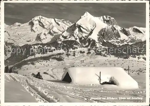 Wildhaus SG Panorama Skigebiet Toggenburg mit Saentis und Schafberg Appenzeller Alpen Kat. Wildhaus