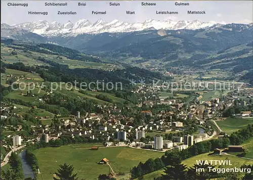 Wattwil Gesamtansicht mit Alpenpanorama Kat. Wattwil
