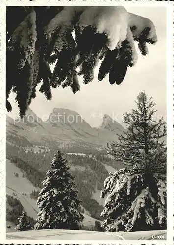 Unterwasser Toggenburg Winterimpressionen Bergrestaurant Iltios Appenzeller Alpen Kat. Unterwasser