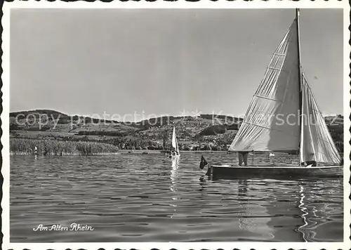 Altenrhein Am Alten Rhein Segelboot Kat. Altenrhein