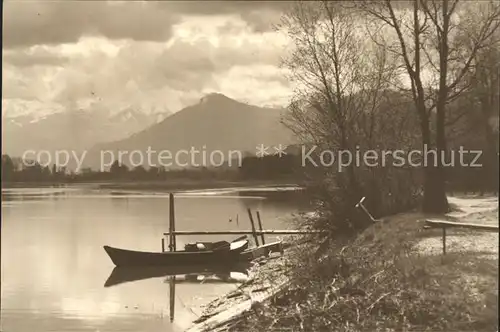 Altenrhein Uferpartie am Alten Rhein Vorarlberger Alpen Kat. Altenrhein