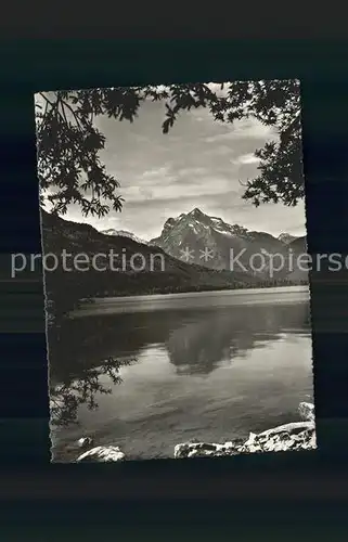 Betlis Uferweg Walensee mit Rauti Alpenpanorama Kat. Amden