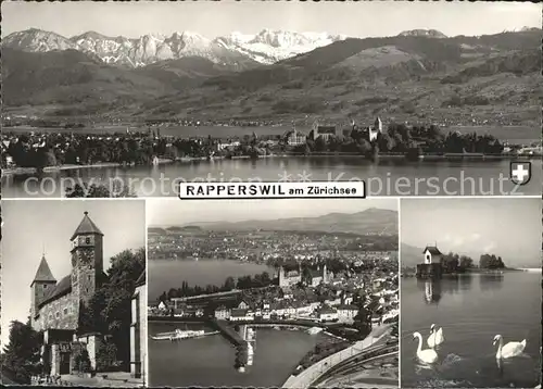 Rapperswil SG Gesamtansicht mit Alpenpanorama Zuerichsee Hafen Schloss Heilighuesli Schwan  Kat. Rapperswil SG